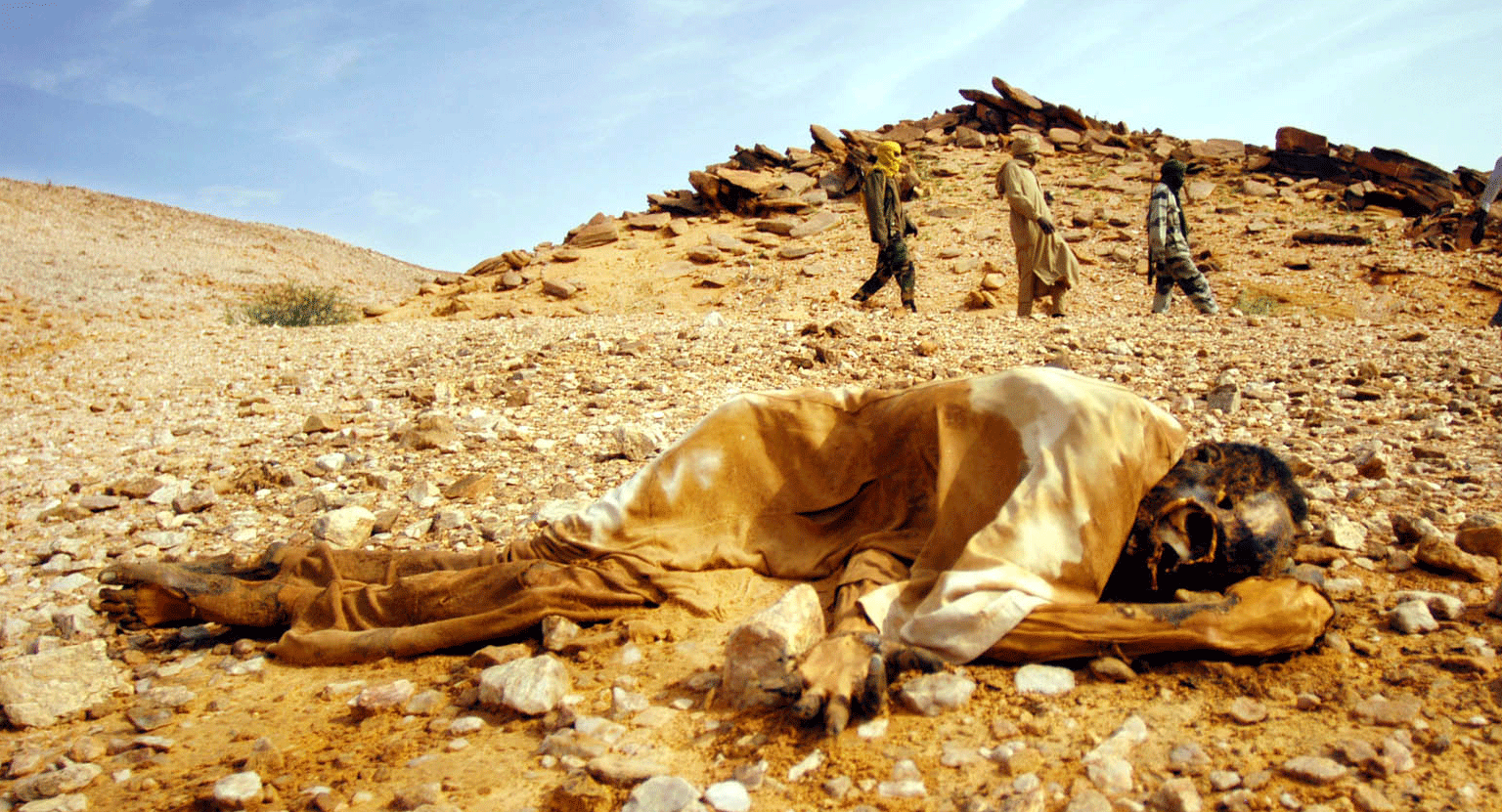 [Darfur-Program---Main-Photo.gif]