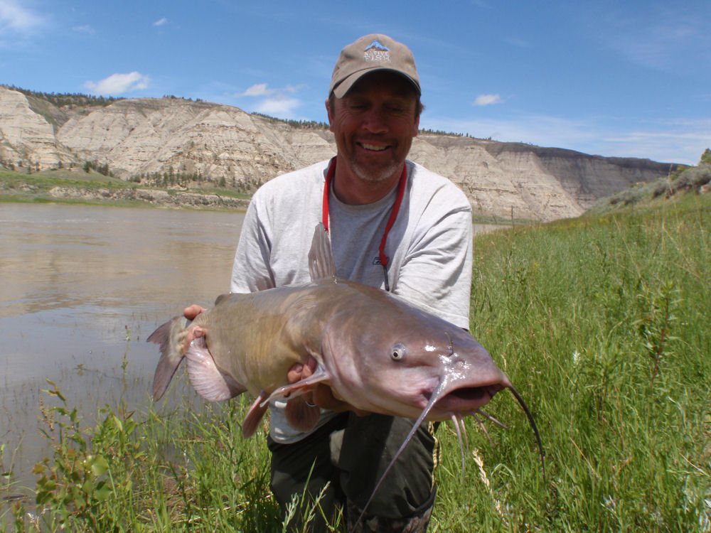 Montana Native Fish June 2010