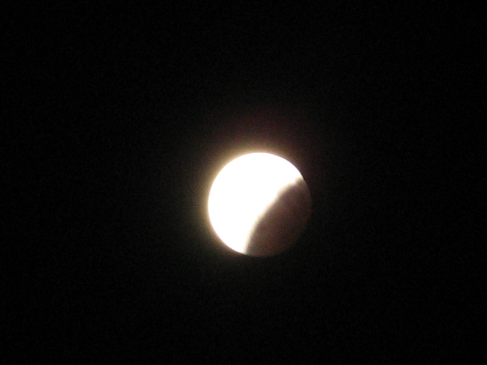 [IMG_7583.JPG]