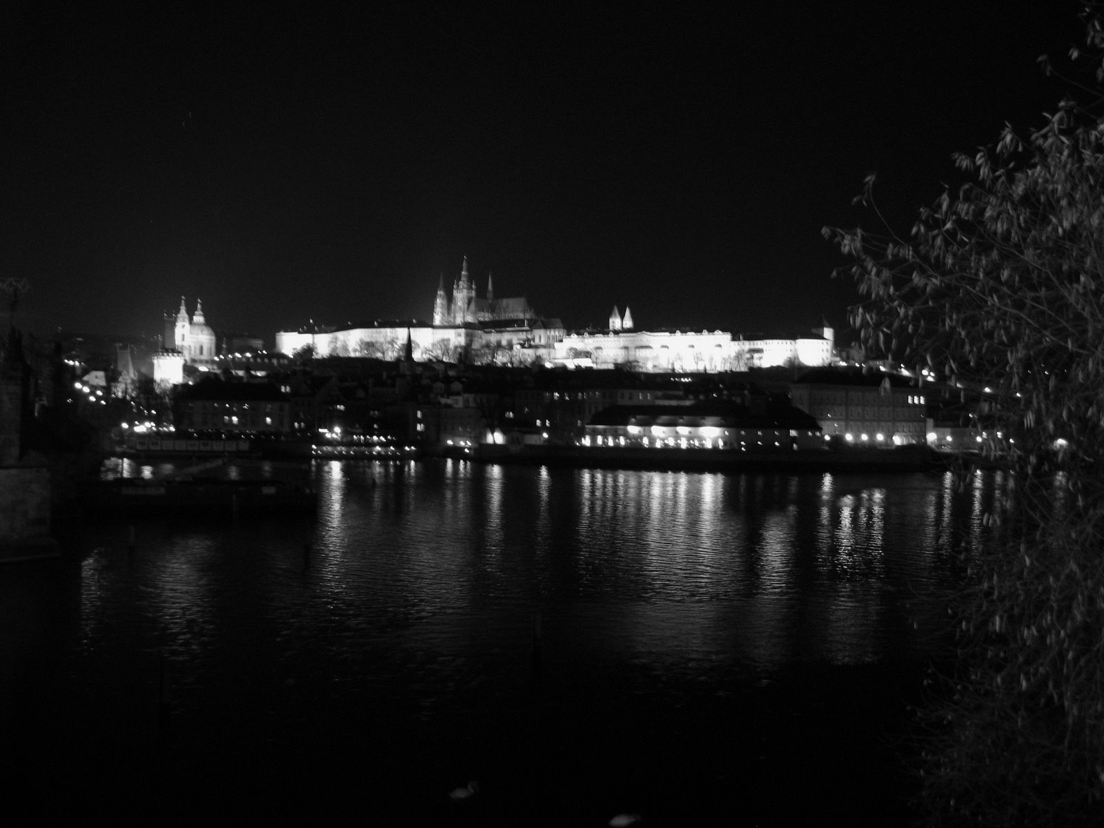 [IMG_8692.JPG]