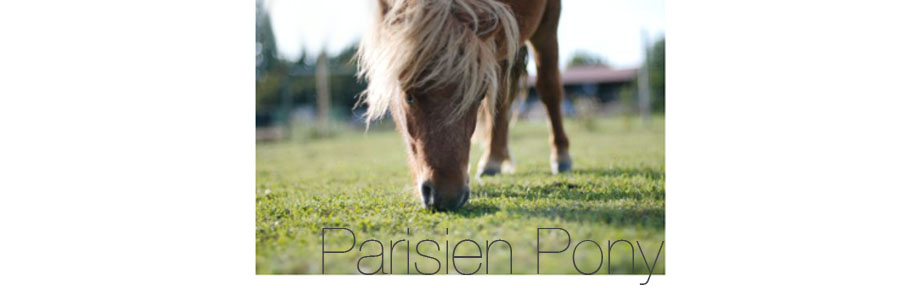 Parisien Pony