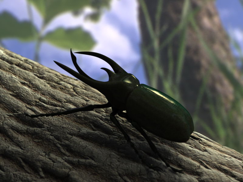 3D model Bug - chalcosoma atlas celebes
