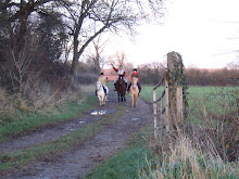 THE DAYS WHEN WE HAD 3 HORSES
