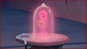 [enchanted_rose.jpg]