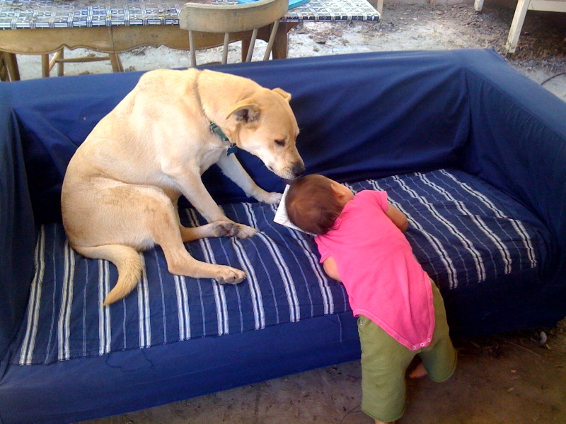 [photo+2-707988.jpg]