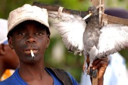 [carn.jpg]