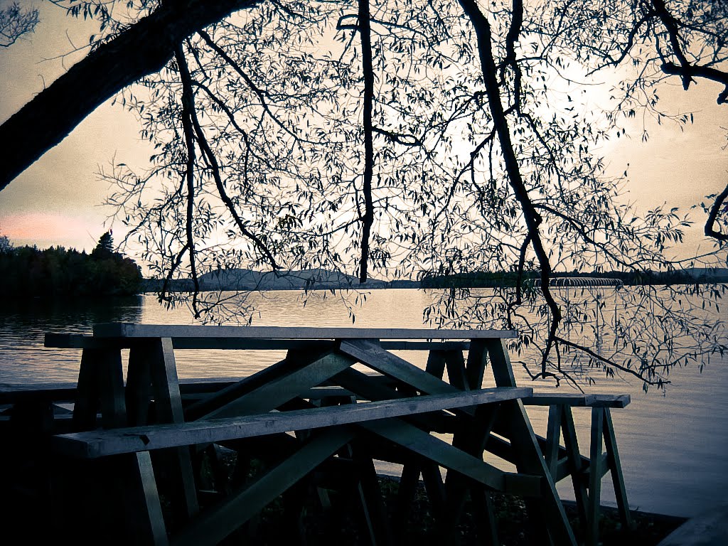 [IMG_9369.jpg]