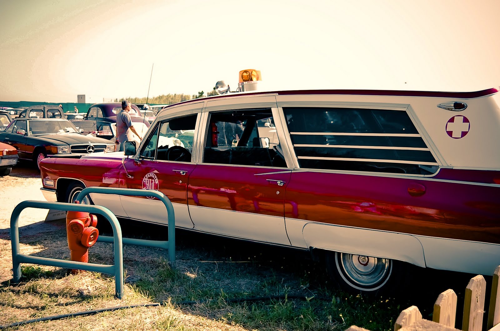 [DSC_0696.jpg]