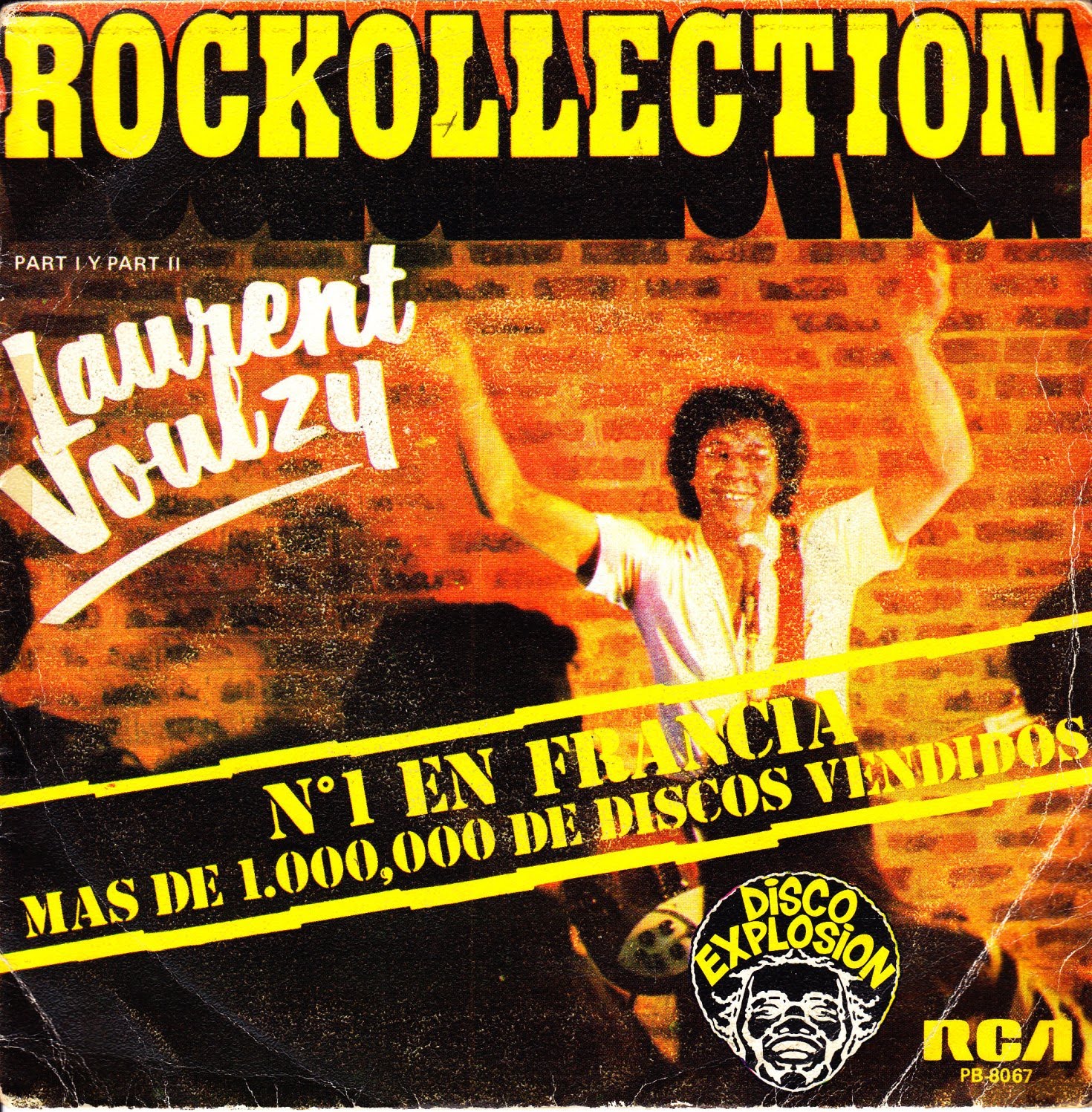 [Laurent+Voulzy+Rockollection.jpg]