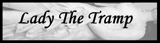 Lady The Tramp- Female Travel Blog by a Woman Traveler