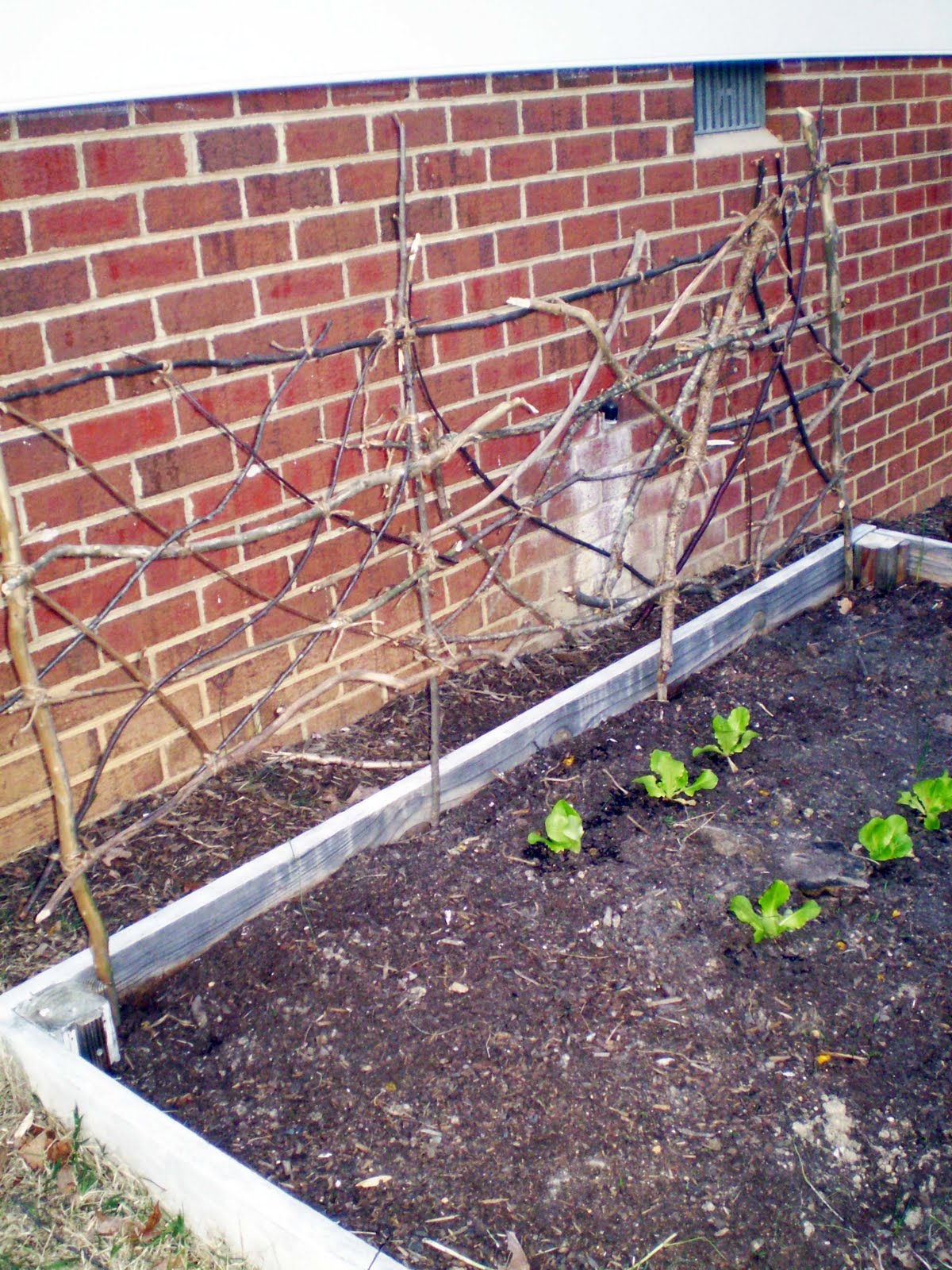 Bright As Yellow How To Garden Twig Trellis