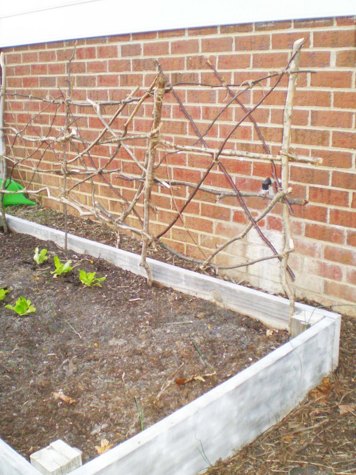 Bright As Yellow How To Garden Twig Trellis