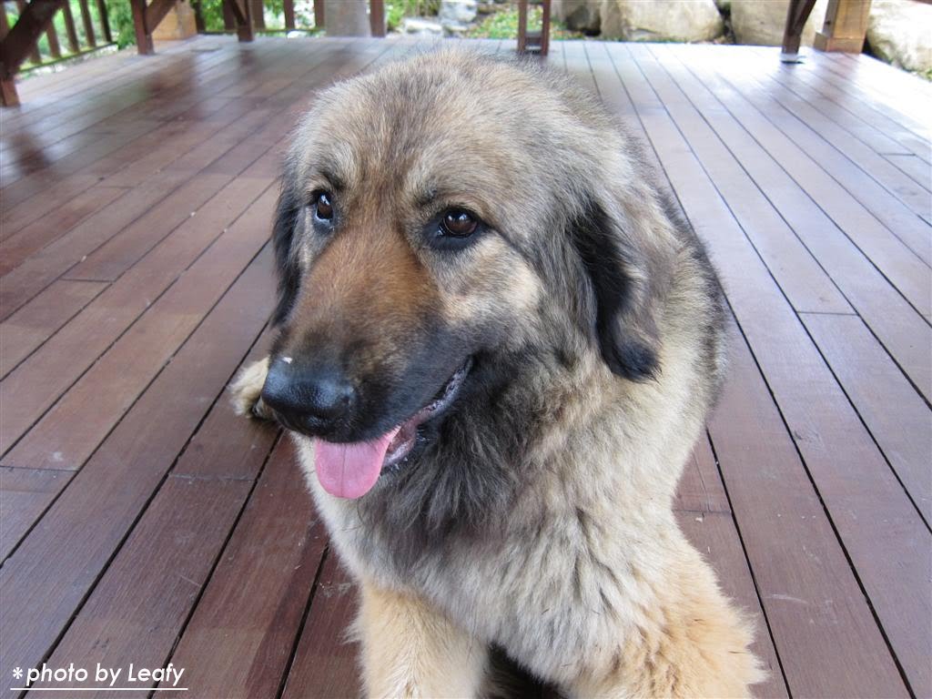 [IMG_1036+(Large).jpg]