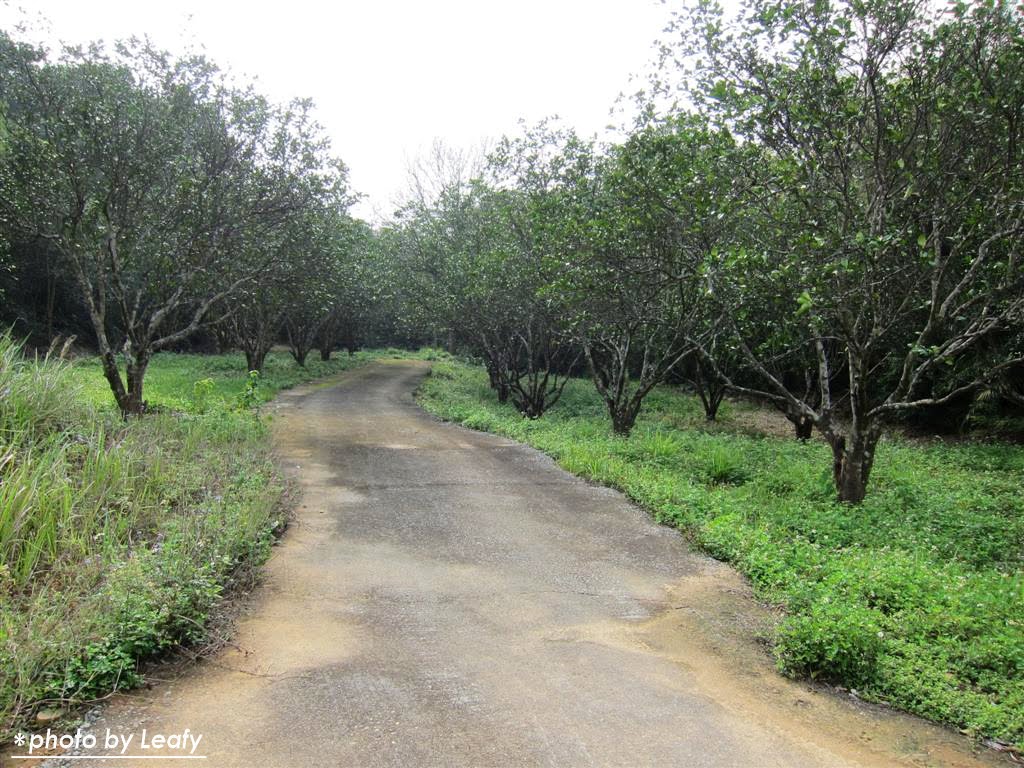 [IMG_1223+(Large).jpg]