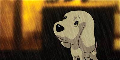 [W020060101447645783220.JPG]