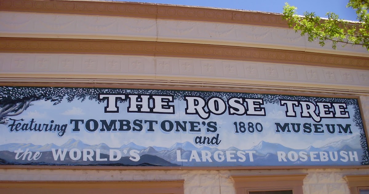 Life at 55 mph Rose Tree Museum in Tombstone, Arizona. According to