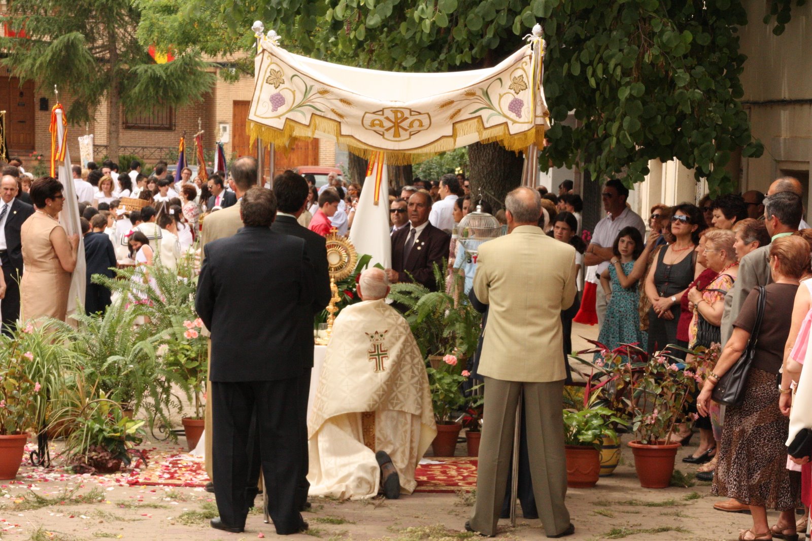 [IMG_8434.JPG]