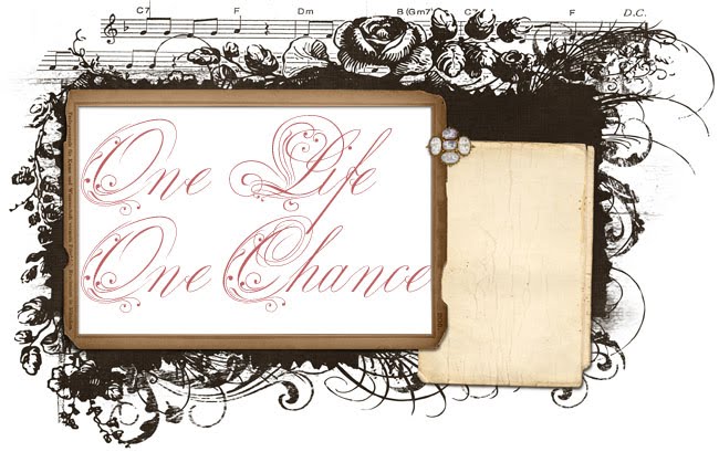 One Life One Chance