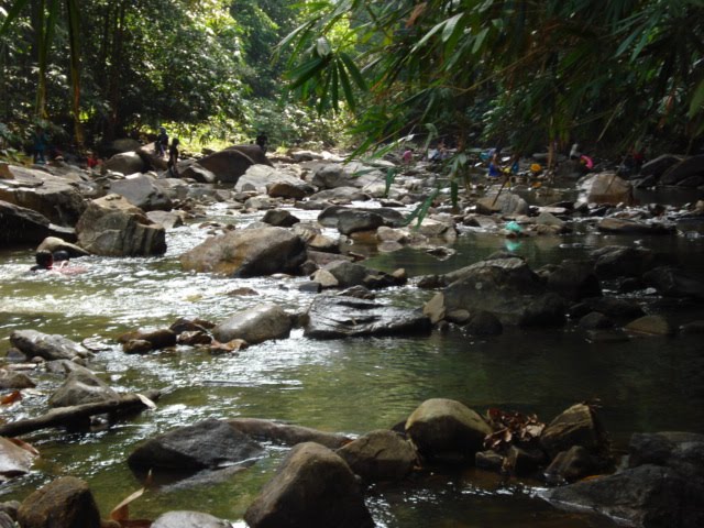 Jabatan Perhutanan