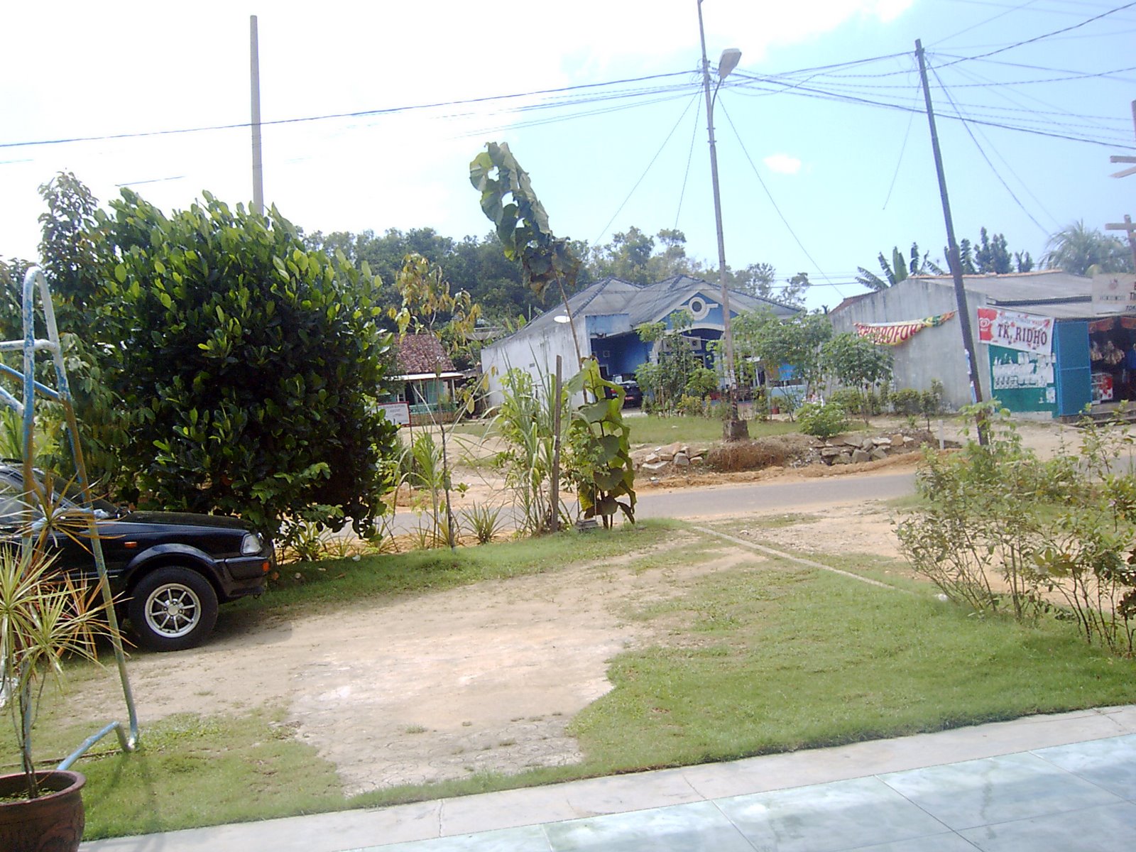 [RIMG0788.JPG]