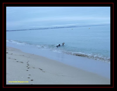 Meia Praia Meia Praia