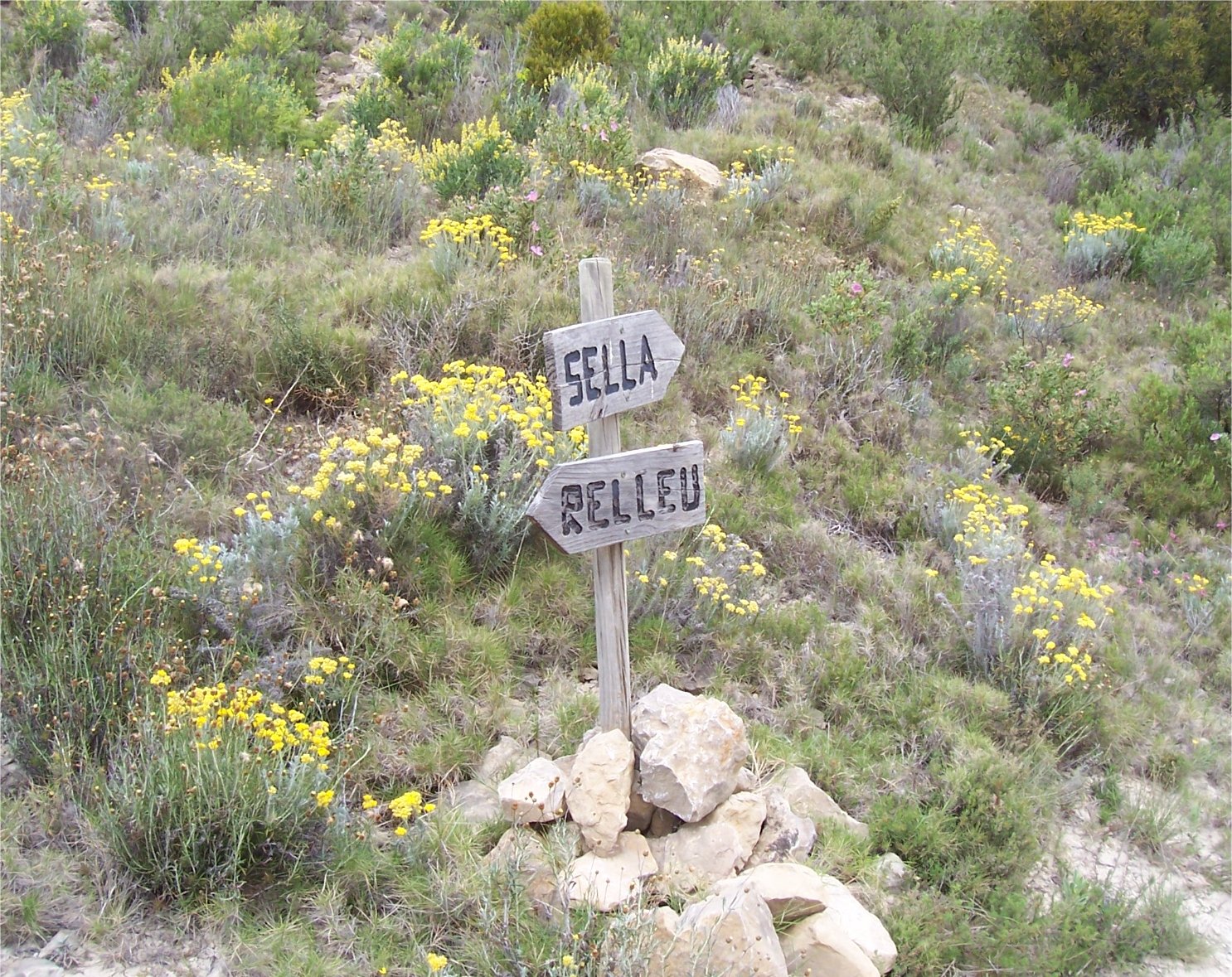 [WednesdayWalkSignpost.jpg]