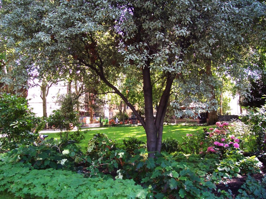 [27AugLondonPaddingtonGdns2.JPG]