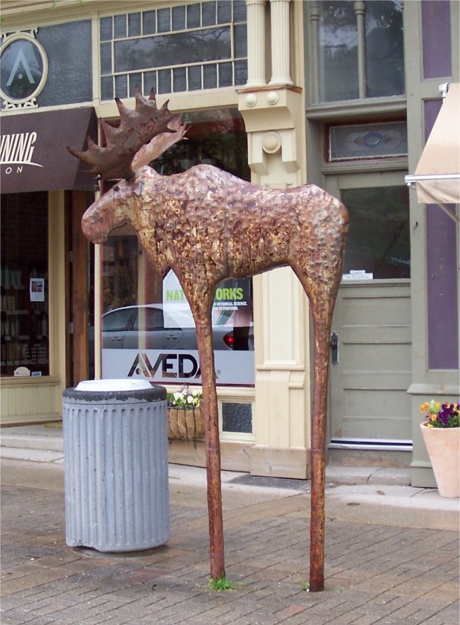 [WednesdayOrangevilleMoose.jpg]