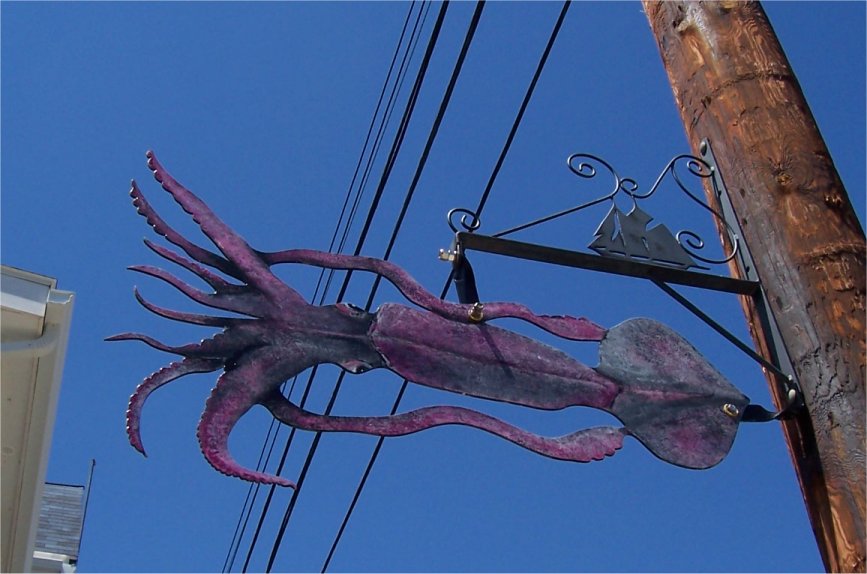 [LunenburgSquid.jpg]