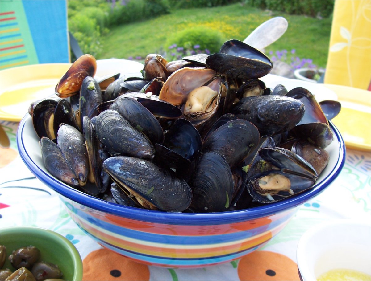 [Mussels2.jpg]
