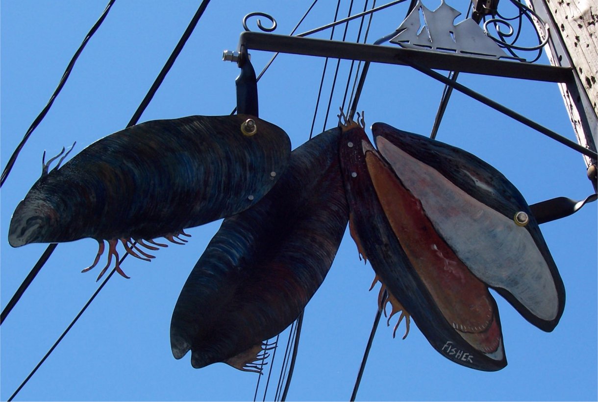 [LunenburgMussels.jpg]