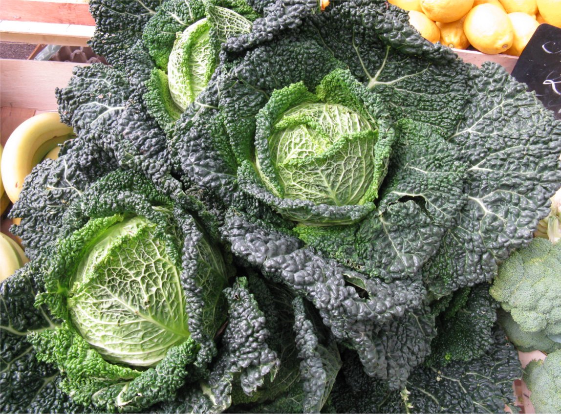 [MarketCabbage.jpg]