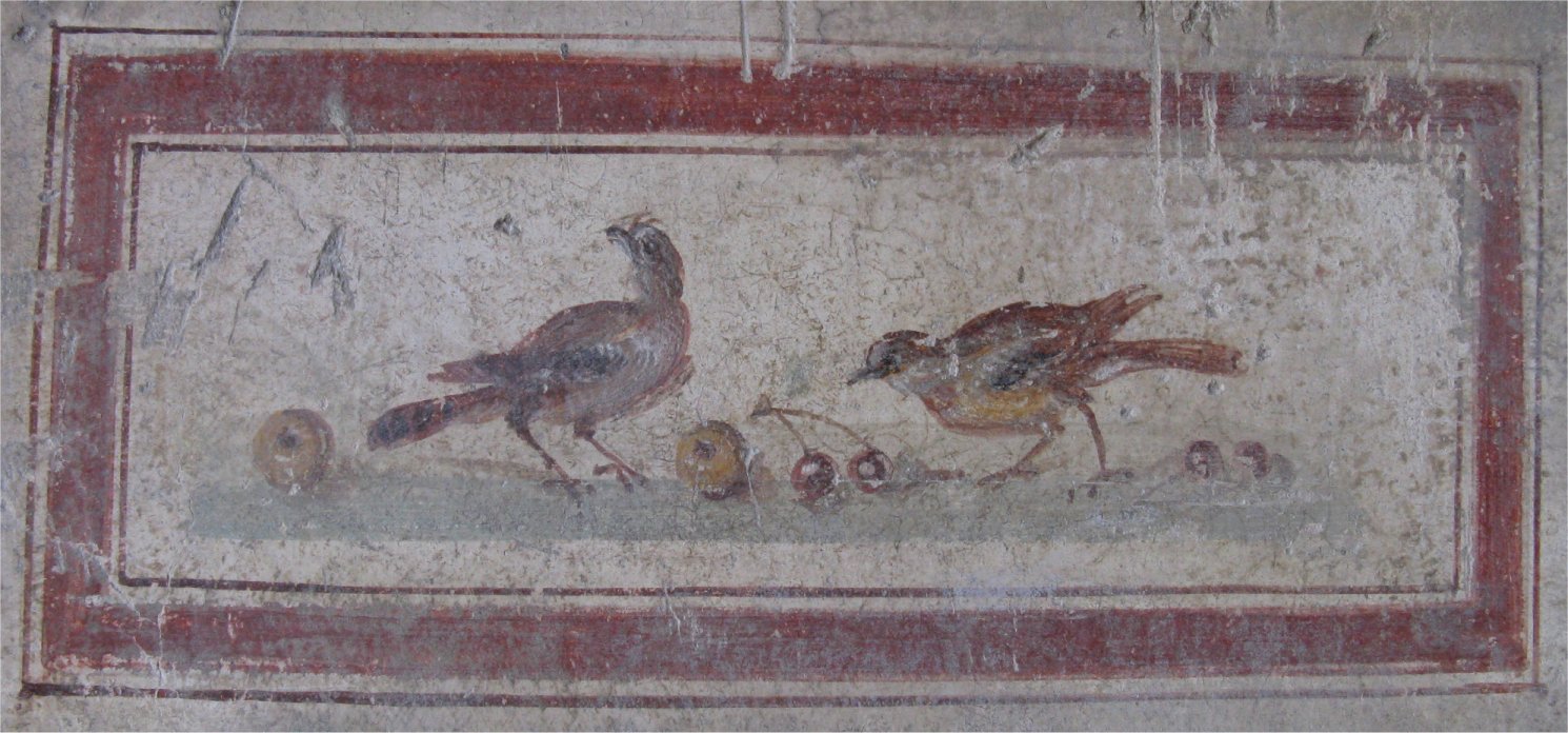[Pompeii5Birds+Fruit.jpg]