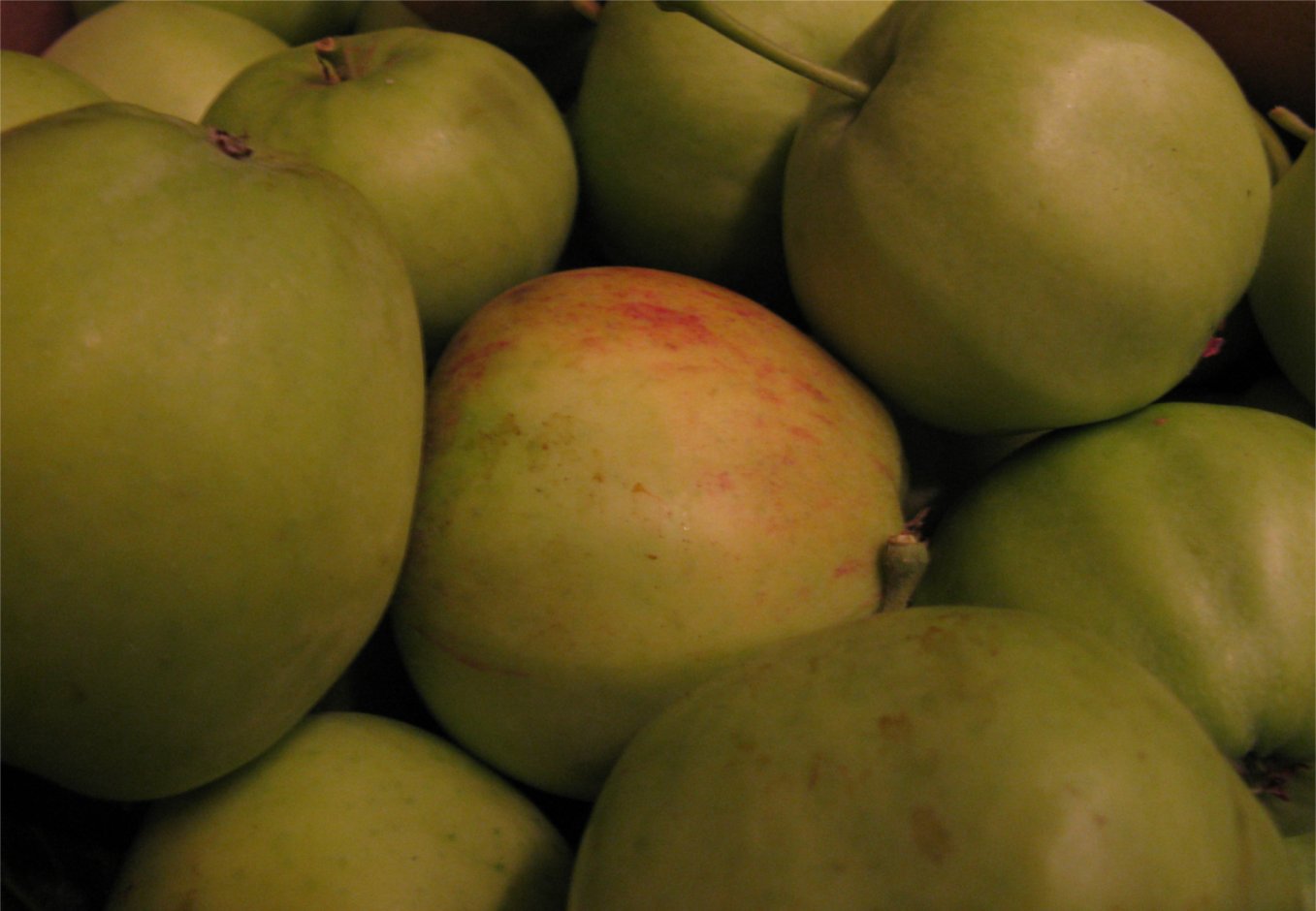 [Apples26July09.jpg]