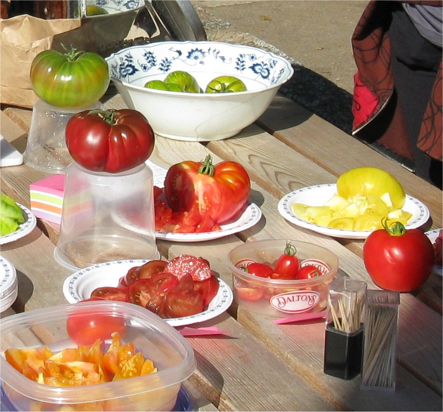 [TomatoTasting.jpg]