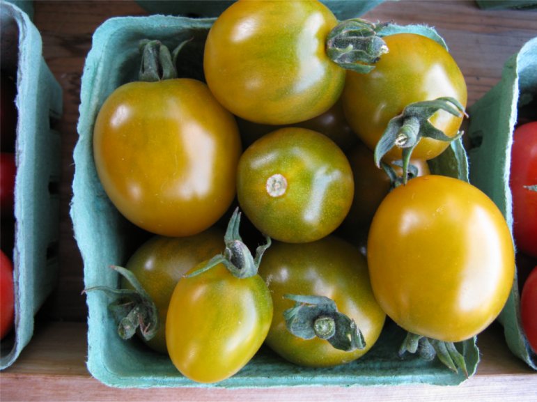 [2009HaliburtonFarmstandTomatoes5.jpg]