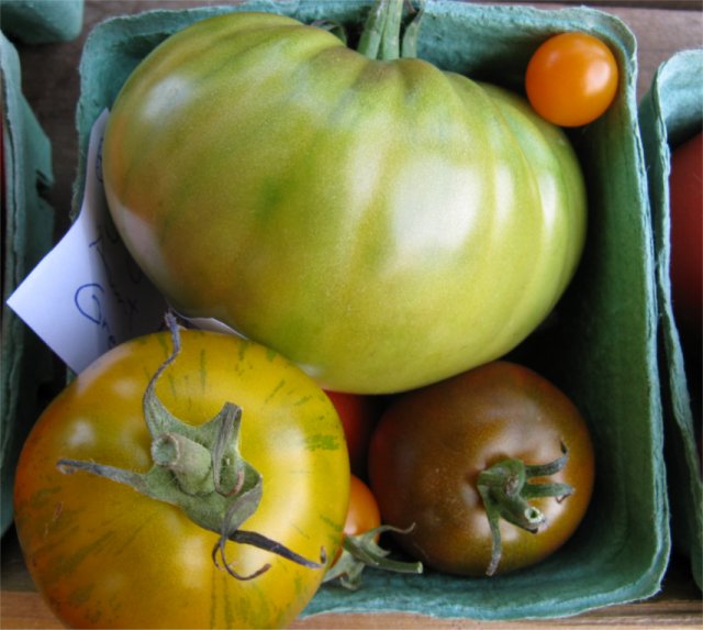 [2009HaliburtonFarmstandTomatoesMulticolour.jpg]