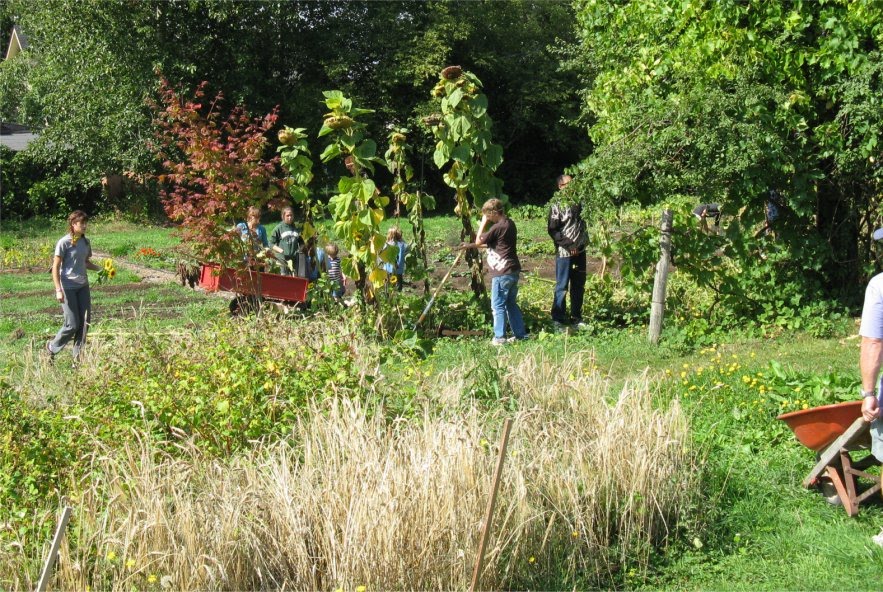 [2009HaliburtonSatWorkParty2.jpg]