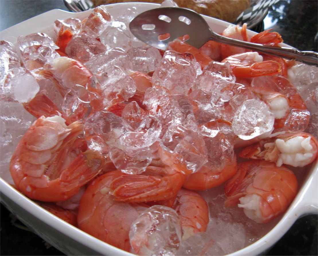 [200912TerraMadrePrawns.jpg]