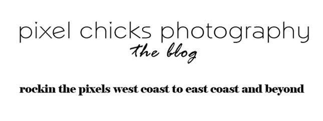 * the Pixel Chicks *