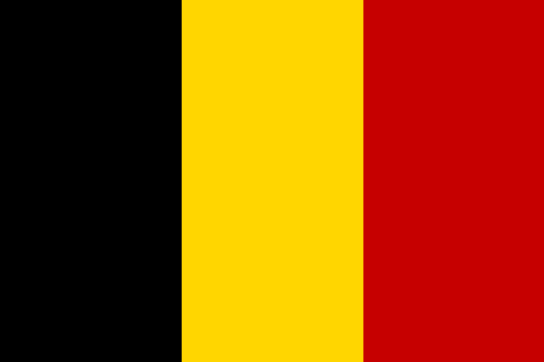 Belgium euthanasia: Study