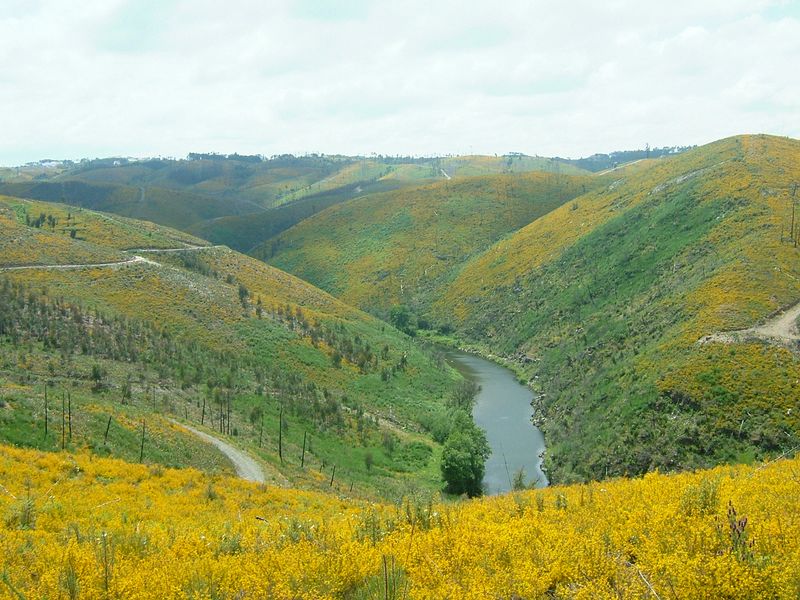 [srt-pedrogão-srt+(27).JPG]