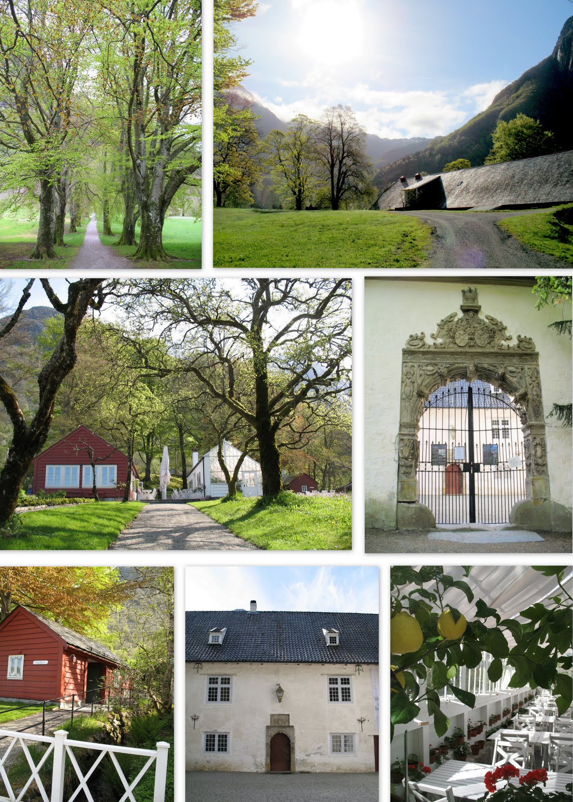 Rosendal Stacie Steensland