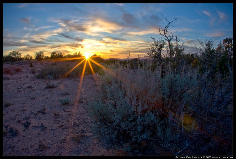[Desert_Twilight_by_navandale.jpg]