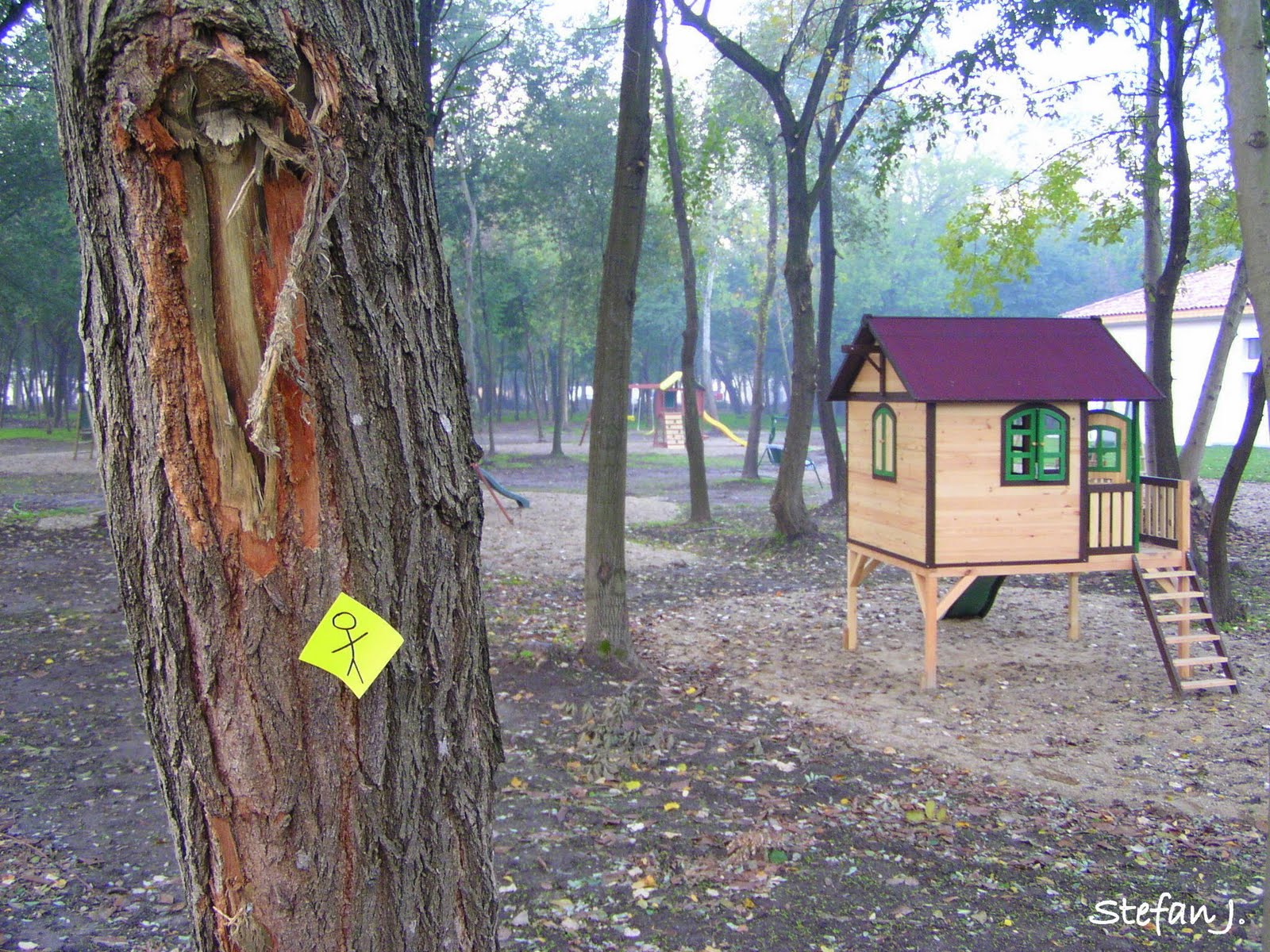 [Stefan+Jipa+(60).JPG]