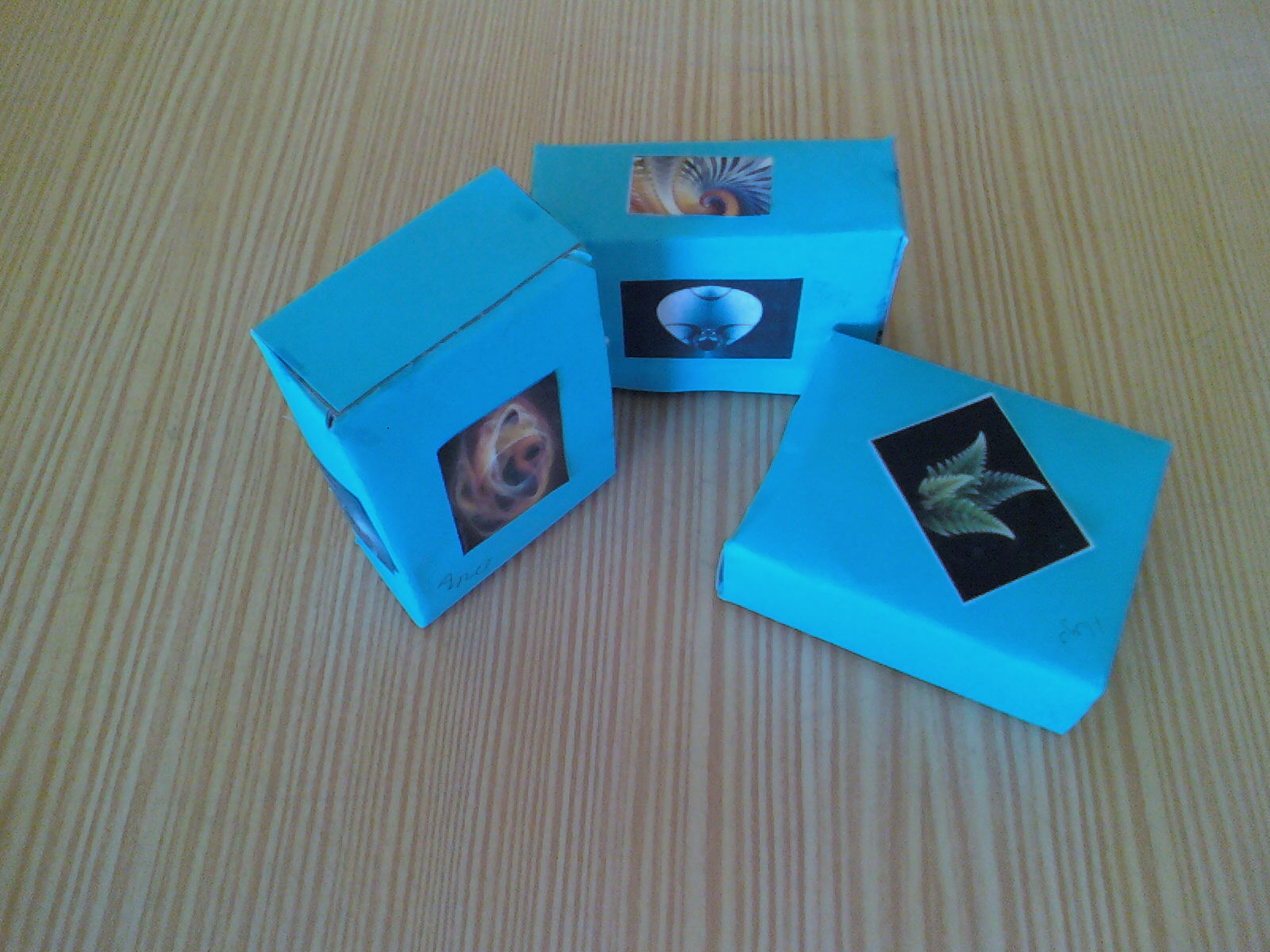 [090427_092720.jpg]