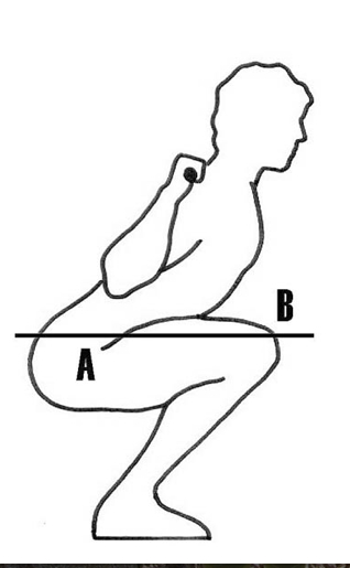 back-squat-diagram.jpg