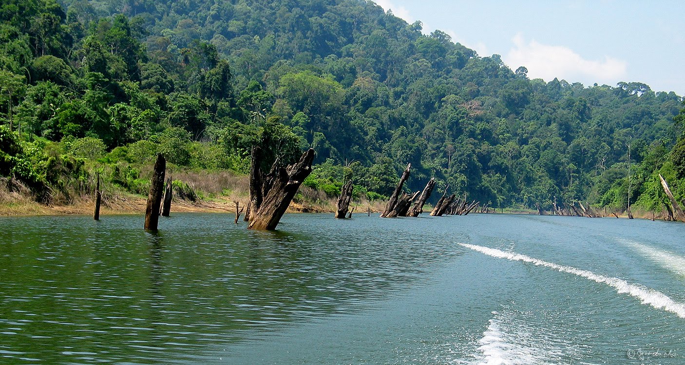 Travelling Photography Igor Laszlo Malaysia Kenyir Lake 2004