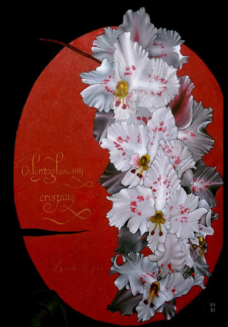 Beauté du Jour -Odontoglossum Crispum) - En vente : 300€