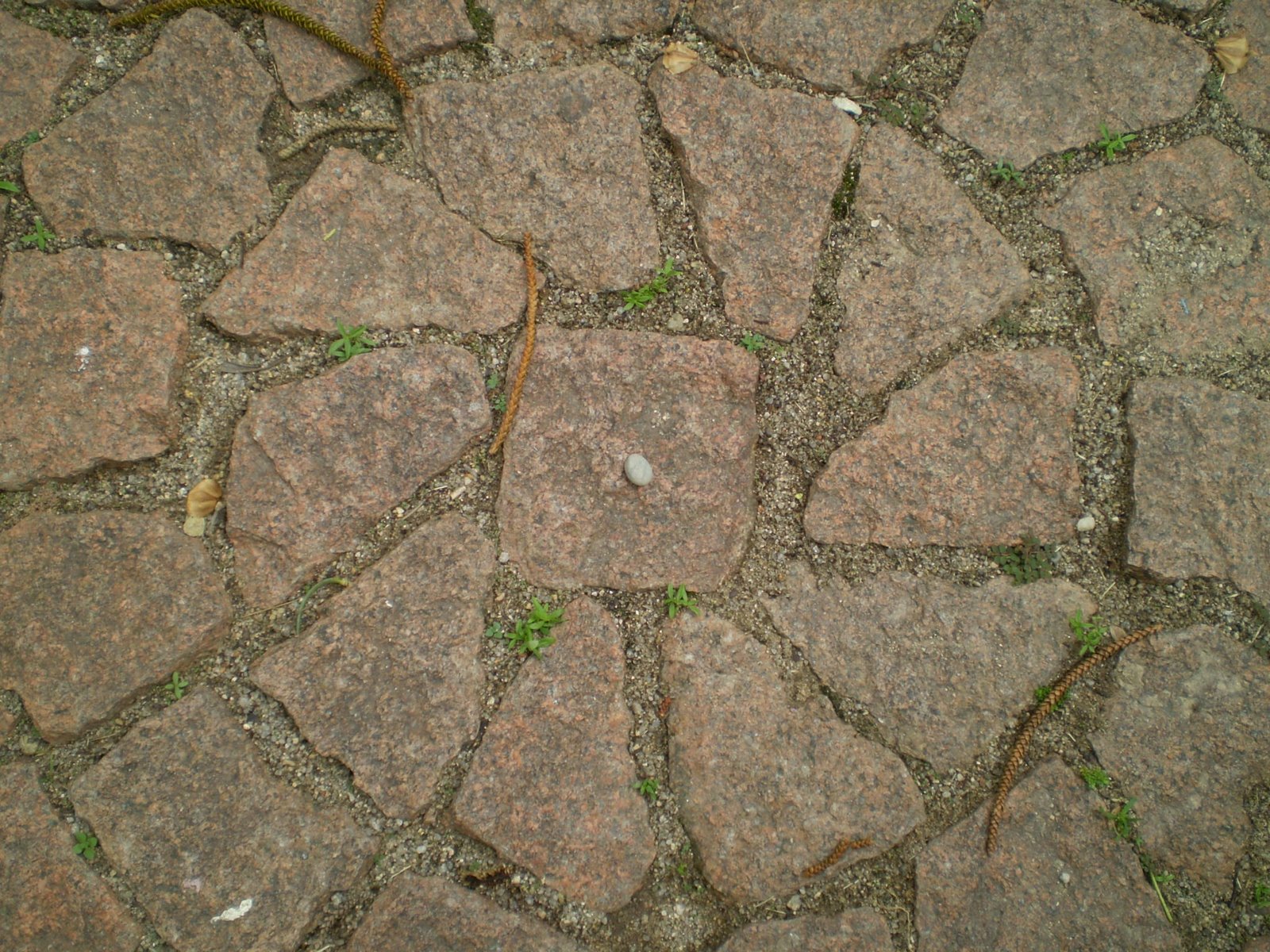 [P2060100.JPG]